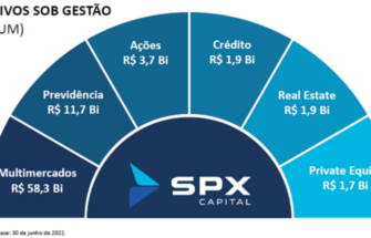 Investindo em empresas de capital fechado: conheça o novo núcleo da SPX